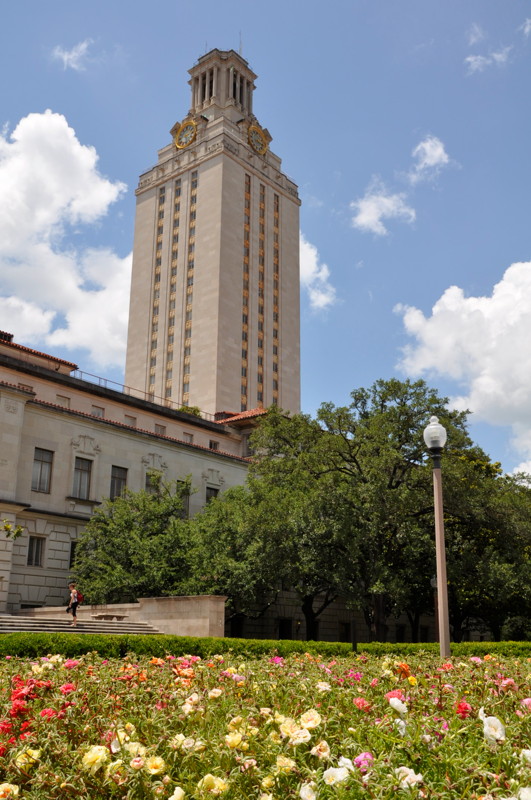 Yaupon: The Forgotten Texas Tree – No. 4 St. James